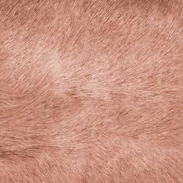 Homeroots Set Of Two 12" X 20" Brown Cowhide Throw Pillow Brown  317103