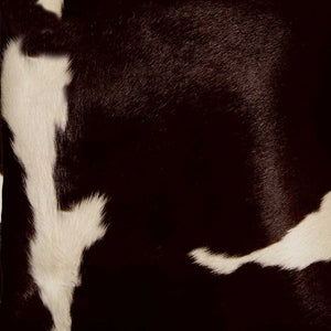 HomeRoots Set of Two 18" Luxe Cowhide Throw Pillows for Elegant Living Room Decor and Cozy Comfort Chocolate/White 317125