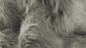 Homeroots 5' X 8' Gray Faux Sheepskin Area Rug Gray Acrylic 317176