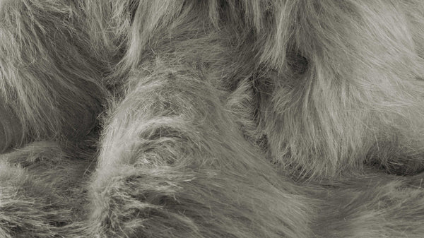 Homeroots 5' X 8' Gray Faux Sheepskin Area Rug Gray Acrylic 317176