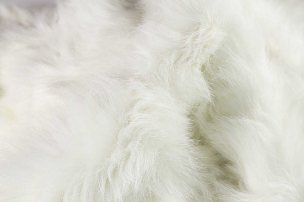 HomeRoots 5' Off White Animal Print Shag Area Rug - Plush Retro Design for Cozy, Modern Living Spaces 317188