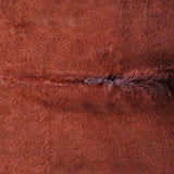 Homeroots 5' X 7' Brown Cowhide Area Rug Brown Cowhide 317313