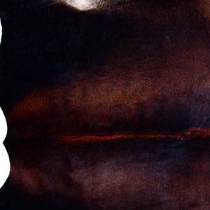 Homeroots 60" X 84" Normand Cowhide - Area Rug Normand Cowhide 317317