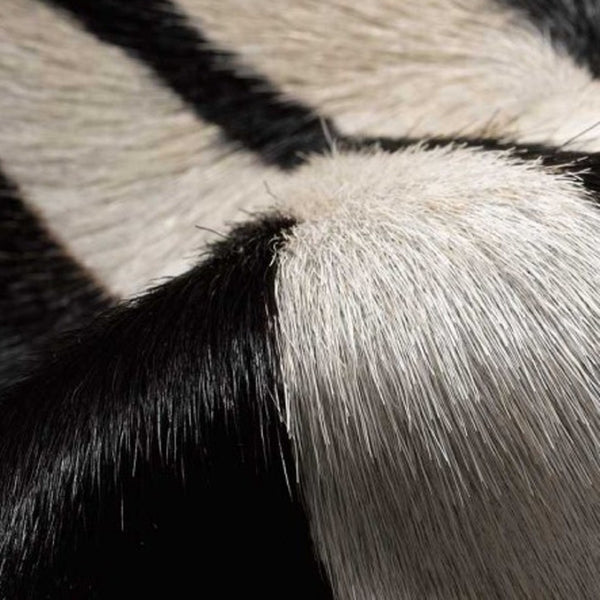 HomeRoots 5' X 7' Zebra Stripe Black And White Cowhide Rug - Luxurious, Artisan Crafted, Durable & Chic Décor 317329
