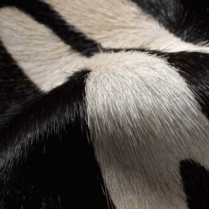 HomeRoots 5' X 7' Zebra Stripe Black And White Cowhide Rug - Luxurious, Artisan Crafted, Durable & Chic Décor 317329
