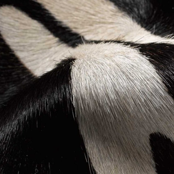 HomeRoots 5' X 7' Zebra Stripe Black And White Cowhide Rug - Luxurious, Artisan Crafted, Durable & Chic Décor 317329