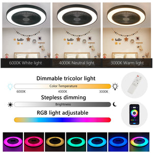 English Elm 19-inch Black Ceiling Fan Light with RGB LED, Dimmable Smart APP & Remote, Silent DC Motor, 6-Speed Reversible W2312P368712
