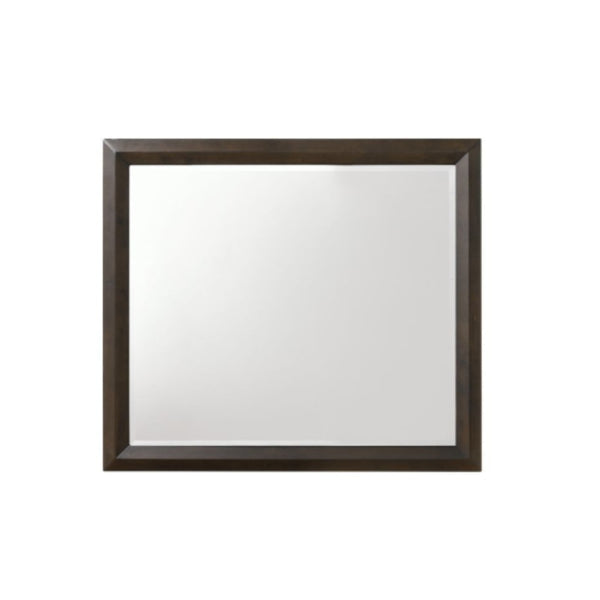 Homeroots Rich Espresso Finish Wooden Rectangular Beveled Edge Mirror  Mirror 318725