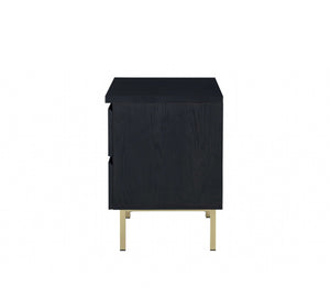 Homeroots Contemporary Black And Brass Nightstand   319131