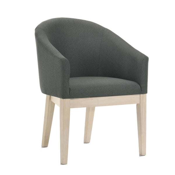 English Elm 23 Inch Pair of Upholstered Accent Chairs Natural Wood Legs Curved Back Living Room B056P416832