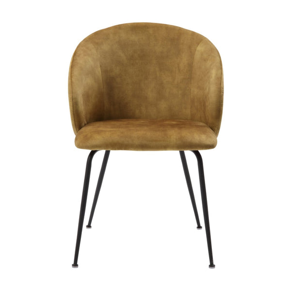 English Elm Brown Velvet Upholstered Dining Side Chair Set with Sleek Powder Coated Metal Legs Mustard B011P243656