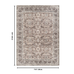 English Elm Majestic Traditional Brown Polyester Area Rug Stain Resistant for Living Rooms B186P428858