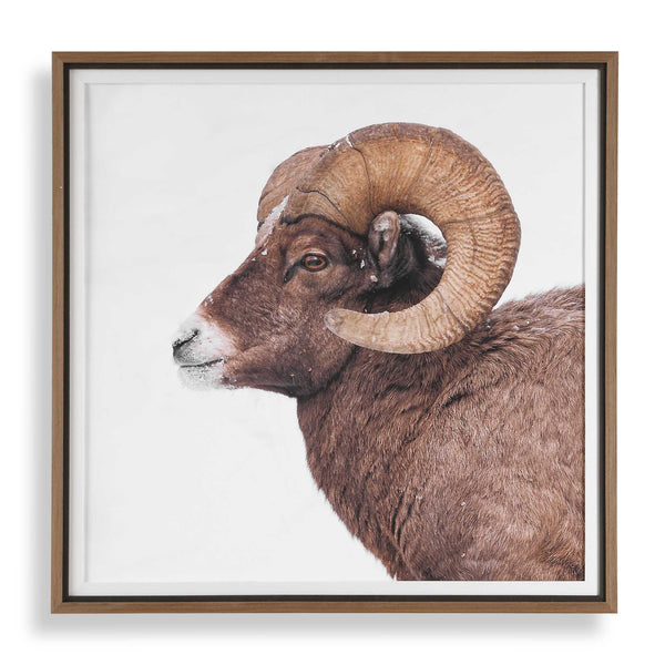 Uttermost Uttermost Bighorn Sheep Wall Art Walnut Framed Print for Lodge or Rustic Living 32546
