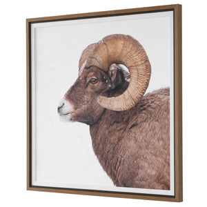 Uttermost Bighorn Sheep Wall Art Walnut Framed Print for Lodge or Rustic Living