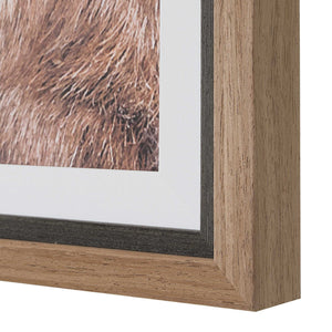 Uttermost Bighorn Sheep Wall Art Walnut Framed Print for Lodge or Rustic Living