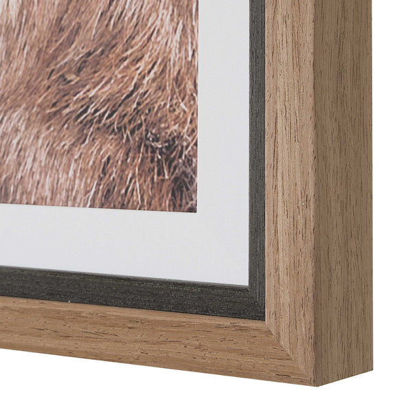 Uttermost Bighorn Sheep Wall Art Walnut Framed Print for Lodge or Rustic Living