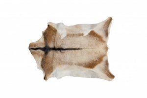 Homeroots 2' X 3' White And Tan Genuine Calfskin Area Rug Tan,White Cowhide 328299