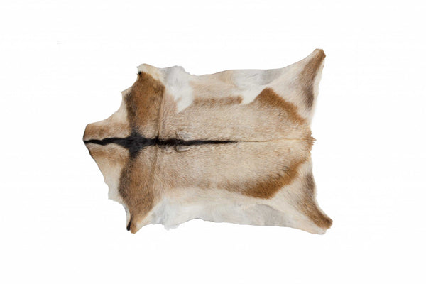 Homeroots 2' X 3' White And Tan Genuine Calfskin Area Rug Tan,White Cowhide 328299