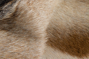 Homeroots 2' X 3' White And Tan Genuine Calfskin Area Rug Tan,White Cowhide 328299