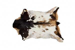 Homeroots 2' X 3' Tricolor And White Calfskin - Area Rug Zebu Cowhide 328300