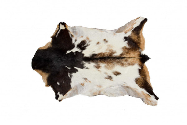 Homeroots 2' X 3' Tricolor And White Calfskin - Area Rug Zebu Cowhide 328300