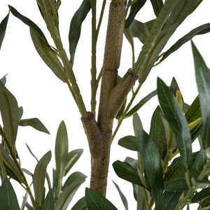 English Elm Christopher Knight Home® - 6' Olive Tree Faux Plant with Pre-Potted Black Plastic Base, Lifelike Leaves, Low Maintenance Décor Green N772P286766G