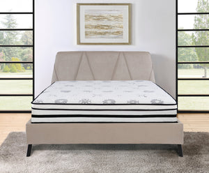 English Elm 12-inch Vela Promo Hybrid Queen Mattress with Breathable Quilted Cover, Green Tea Freshness, Plush Support White 16.5 L x 16.5 W x 80 H B011P213355