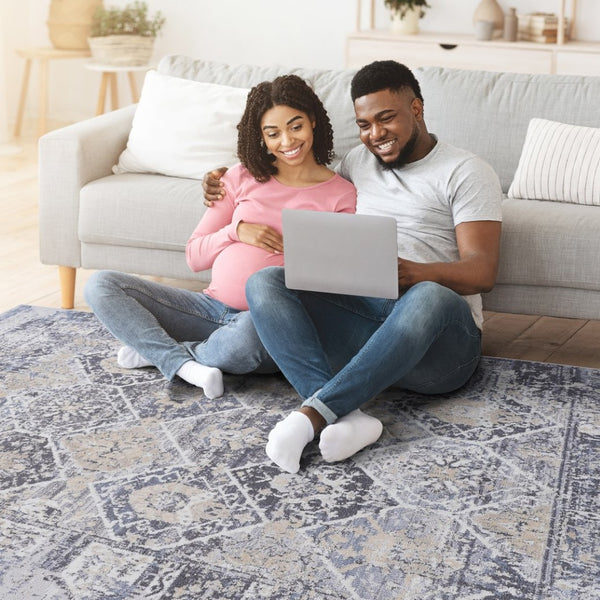 English Elm Payas Collection 8X10 Grey & Blue Traditional Area Rug - Durable, Elegant, Kid & Pet Friendly Décor B189P183563-GIGA