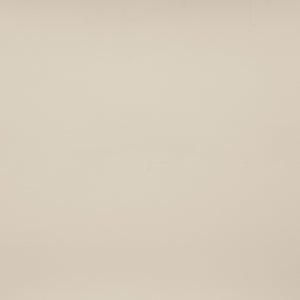 Meridian Furniture Vetra Sculptural Low-profile Vegan Leather Accent Chair for Modern Living Spaces 33020Beige