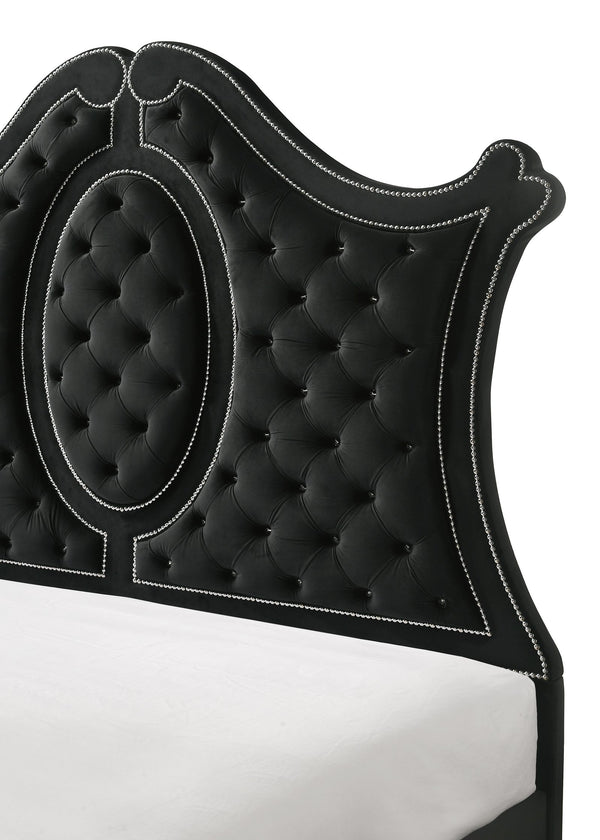 English Elm 1Pc Queen Panel Bed - Luxurious Black Upholstery, Diamond Tufted Headboard & Elegant Nailhead Trim B2741S00234