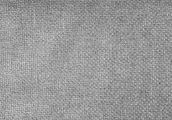 HomeRoots Gray Twin Upholstered Bed Frame with Elegant Nailhead Trim and Durable Foam-Padded Headboard Grey 333286