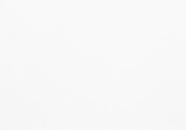 Homeroots 22" White And Silver Writing Desk With Two Drawers White,Silver  333484