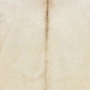 Homeroots 6.5 Ft  Champagne Brindled Cowhide Rug Champagne Cowhide 334424