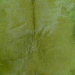 Homeroots 6 Ft Green Dyed Stenciled Cowhide Rug Green Dyed Cowhide 334441