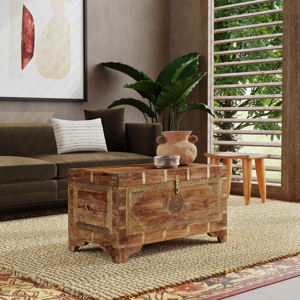 Butler Specialty Nador Hand-painted Brass Inlay Storage Trunk Coffee Table - Vintage Charm & Spacious Functionality Light Brown Mango Solids,Brass 3365118-butler