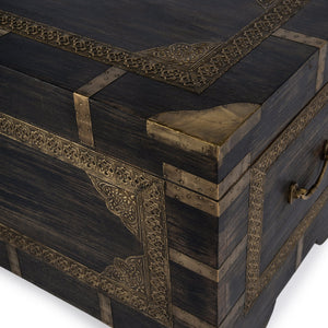 Butler Specialty Nador Hand-painted Brass Inlay Storage Trunk Coffee Table - Vintage Charm & Spacious Functionality Brown Mango Solids,Brass 3365451-butler