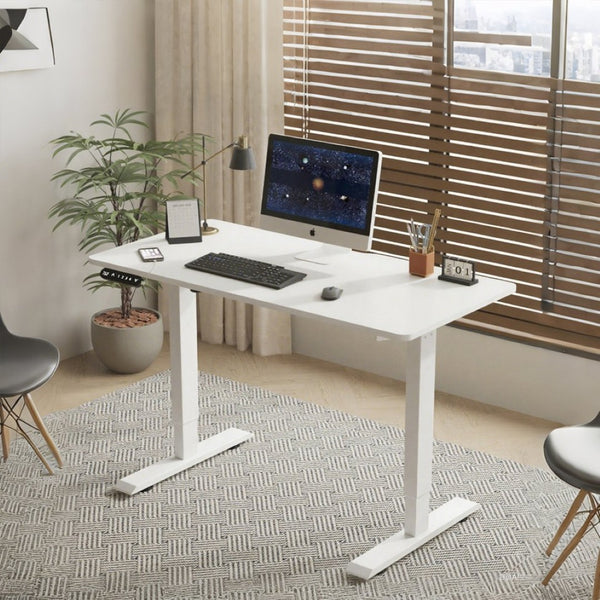 English Elm 55"×24" Electric Sit Stand Desk Steel Frame with Memory Presets and Usb-c Charging Port White W614P376324