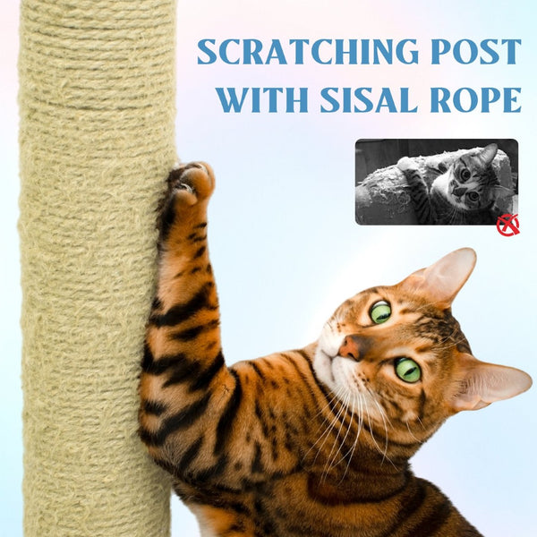 English Elm 71 Inch Floral Cat Tower with Condo Hammock Sisal Posts and Plush Perches for Large Breeds Blue W243P326628