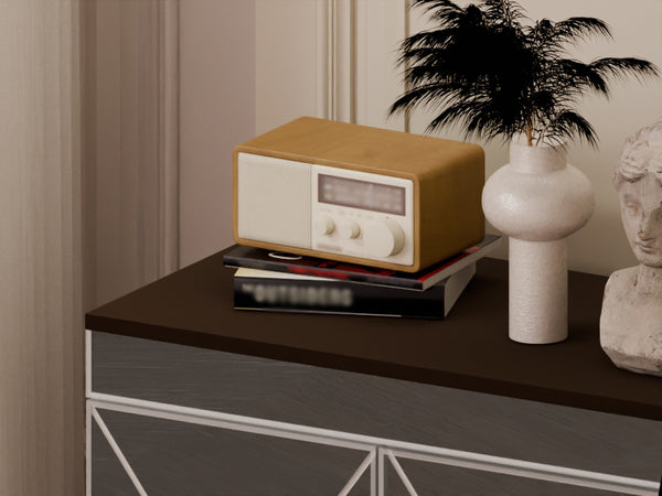 English Elm Elegant Mirrored Cabinet with Frosted Glass Carvings, Vertical Shoe Storage, Silver Handles 49x16x8" W760P196538