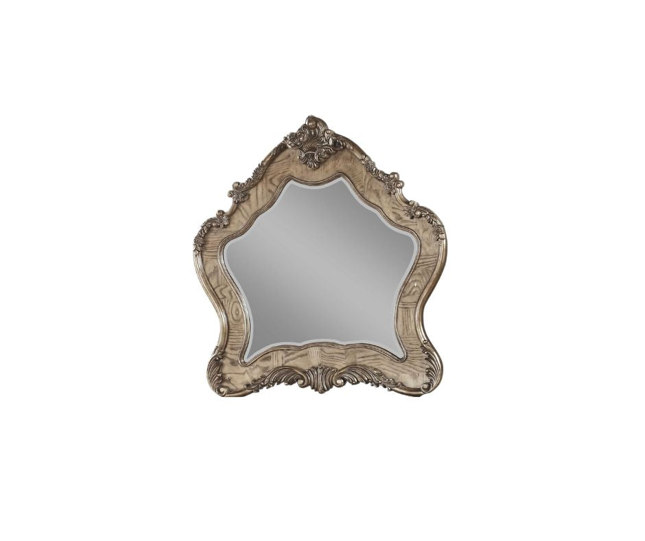 Homeroots 48" Vintage Oak Irregular Framed Mirror  Wood 347089