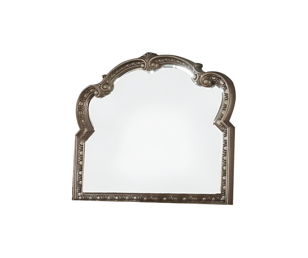 Homeroots 41" Champagne Irregular Framed Accent Mirror  Wood 347127