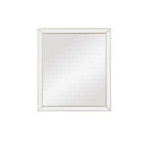 Homeroots Champagne Wooden Rectangular Mirror  Wood 347150