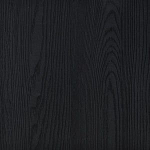 English Elm Sloat Matte Black Media Console with Dual Drawers and Concealed Cabinet Storage B062P451931