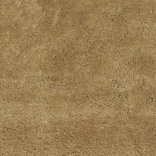 Homeroots 8' X 10' Gold Indoor Shag Rug  Polyester 349886