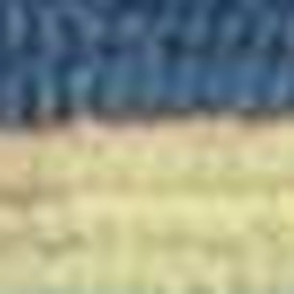 HomeRoots 8' Handmade Blue Striped Area Rug - Coastal-Inspired Design for Indoor & Outdoor Spaces, Durable Style 8' x 10' 349926