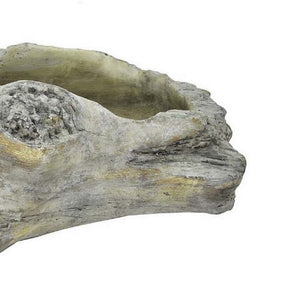 English Elm Paul Terracotta Trough Planter Weathered Gray Driftwood Finish Coastal Patio Decor B056P412617