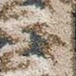 HomeRoots 9' Slate Blue and Red Floral Medallion Area Rug - Timeless Elegance for Living Spaces and More 9' X 12' 350363