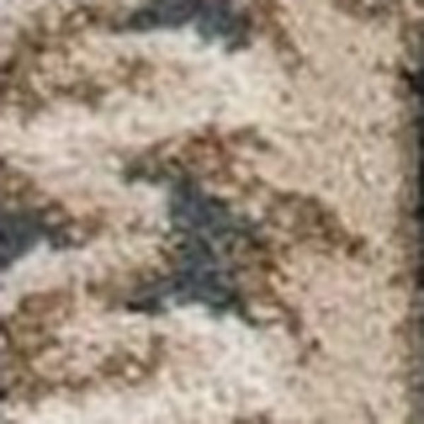 HomeRoots 9' Slate Blue and Red Floral Medallion Area Rug - Timeless Elegance for Living Spaces and More 9' X 12' 350363