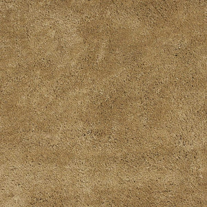 Homeroots 5' X 7' Gold Plain Indoor Area Rug  Polyester 352658