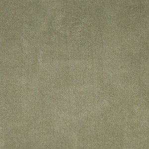 HomeRoots 8' Sage Shag Hand Woven Area Rug - Luxurious Plush Pile for Warmth, Style, and Noise Reduction in Homes 5' X 7' 352659